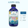 Thực Phẩm Bảo Vệ Sức Khỏe Nordic Naturals DHA Children Bổ Sung DHA Cho Trẻ Nhỏ - 119ml