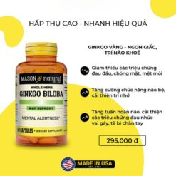 Alternative view of Viên Uống Bổ Sung Mason Ginkgo Biloba Hỗ Trợ Tăng Cường Tuần Hoàn Máu Não, Cải Thiện Trí Nhớ