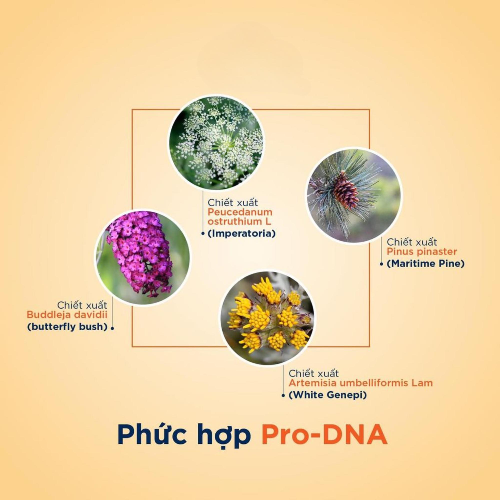 Kem Chống Nắng Ngăn Ngừa Lão Hóa Rilastil Age Repair Santiage Protective Cream SPF 50+ - 40ml - Image 5