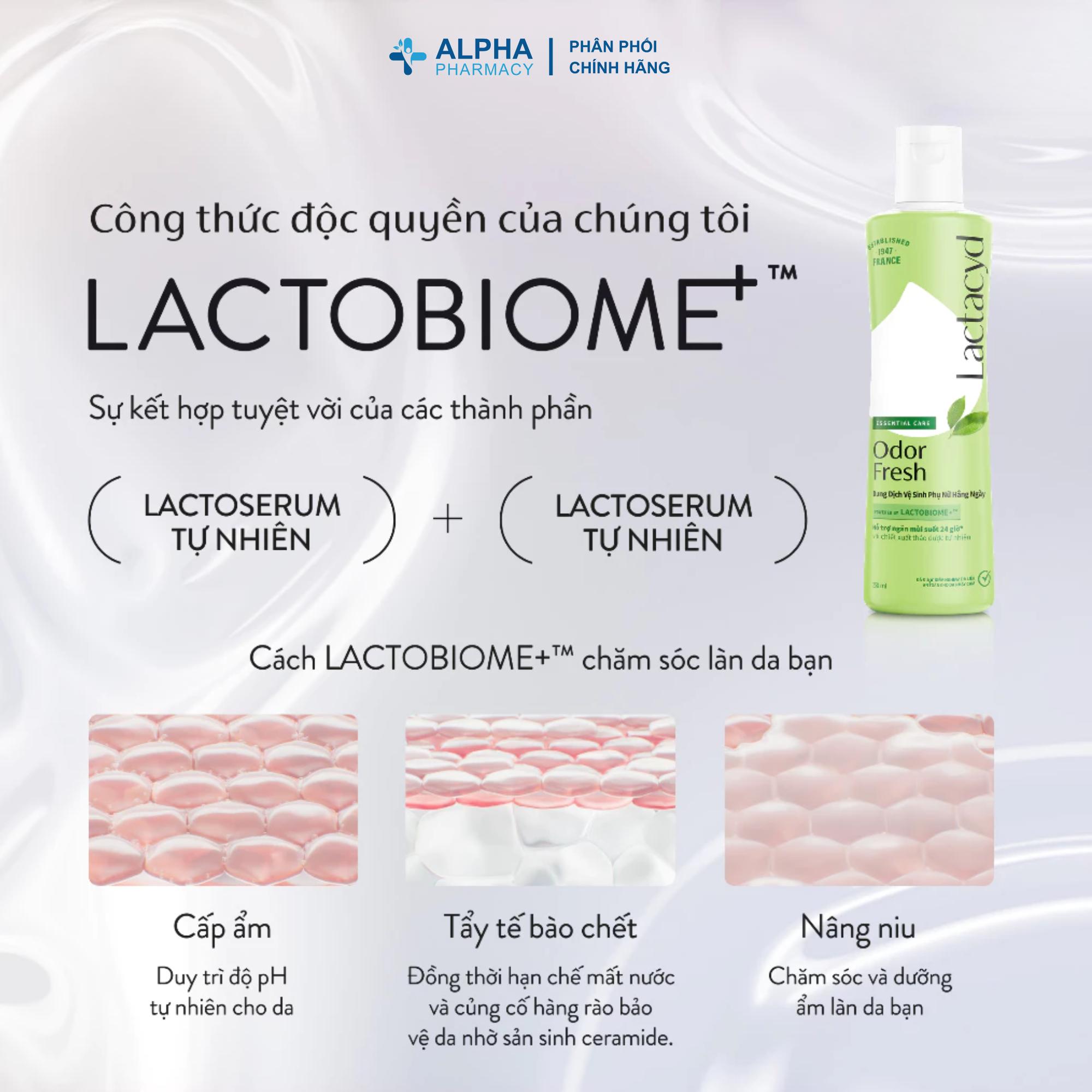 Dung Dịch Vệ Sinh Phụ Nữ Lactacyd Odor Fresh Ngăn Mùi Suốt 24 Giờ – 150ml/250ml - Image 5